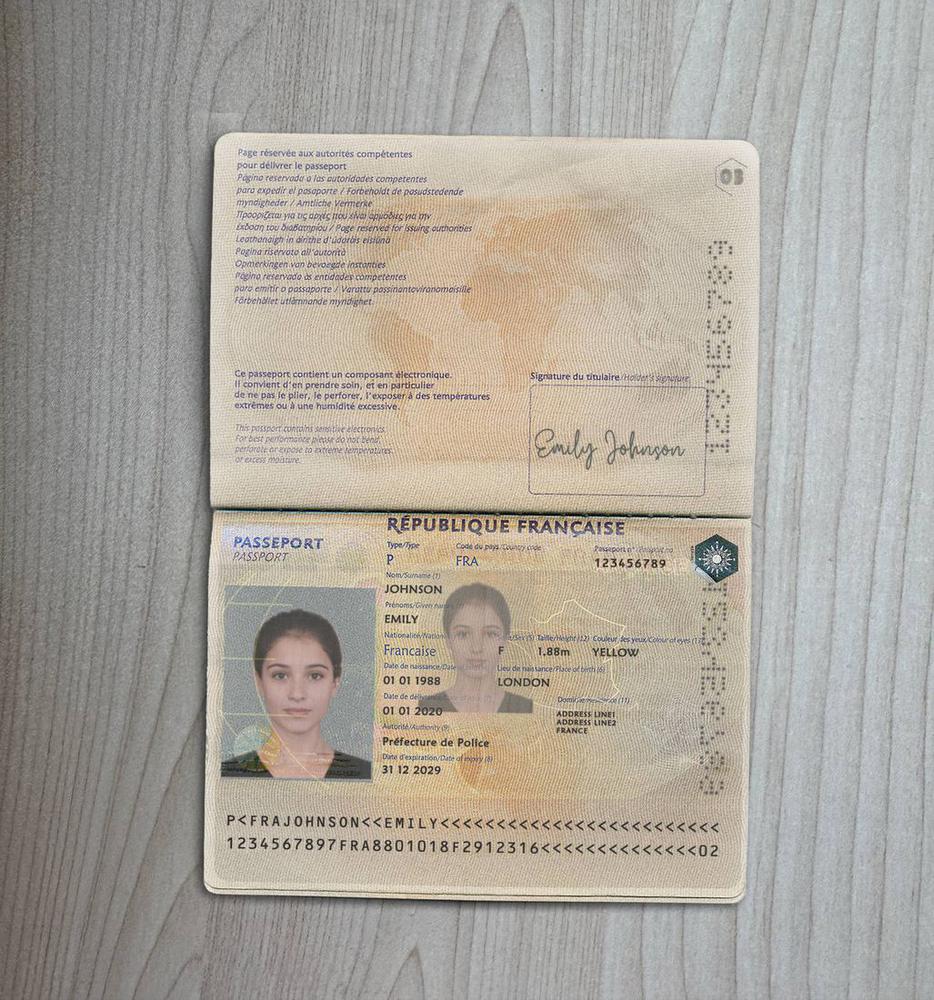 France Passport